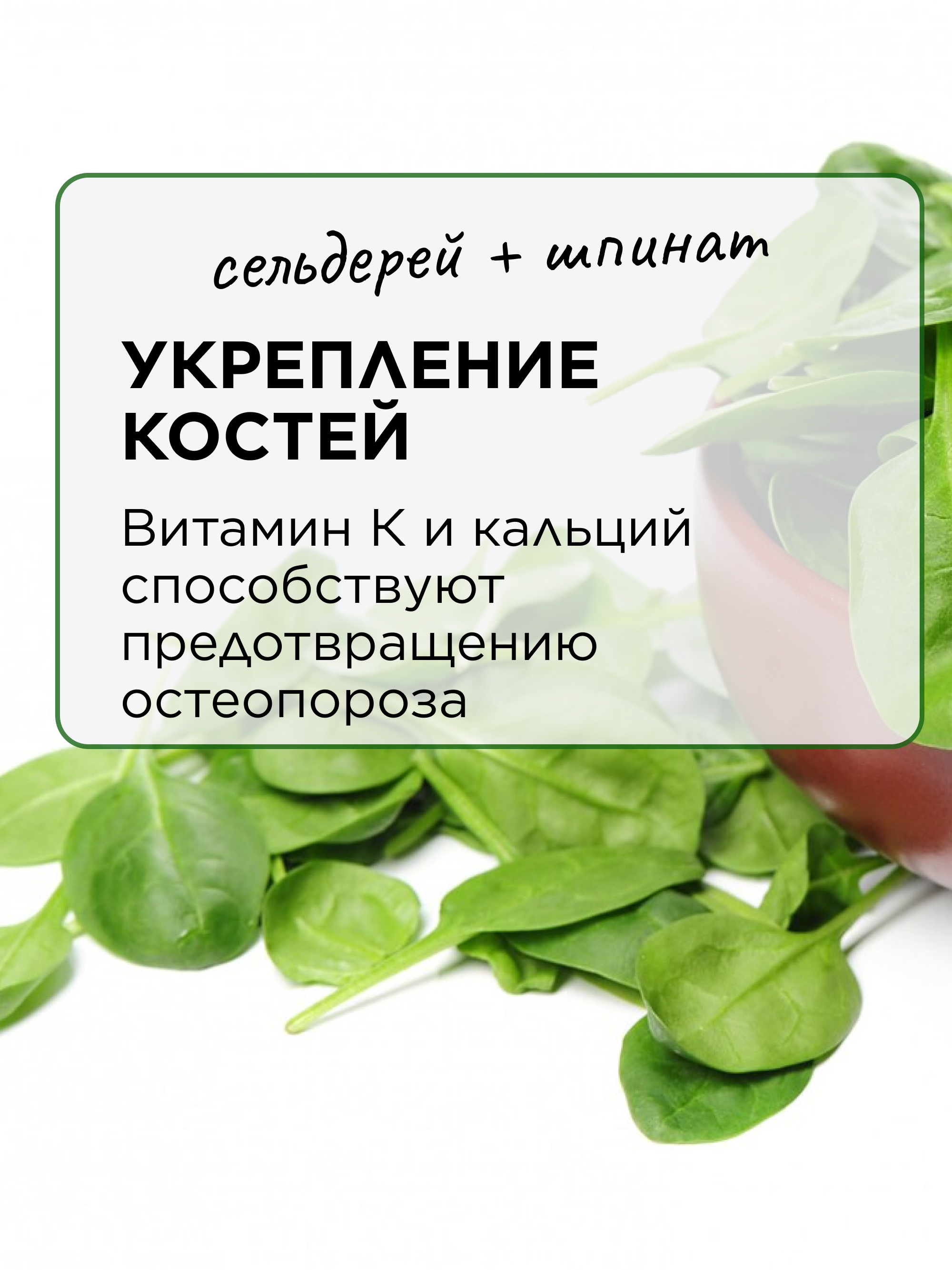 Сельдерей и шпинат порошок, 500 г