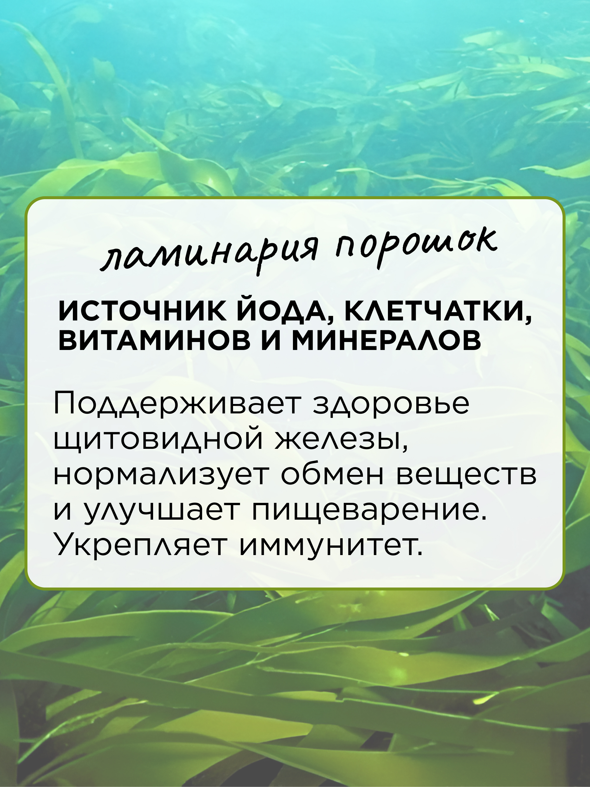 Ламинария порошок, 100 г