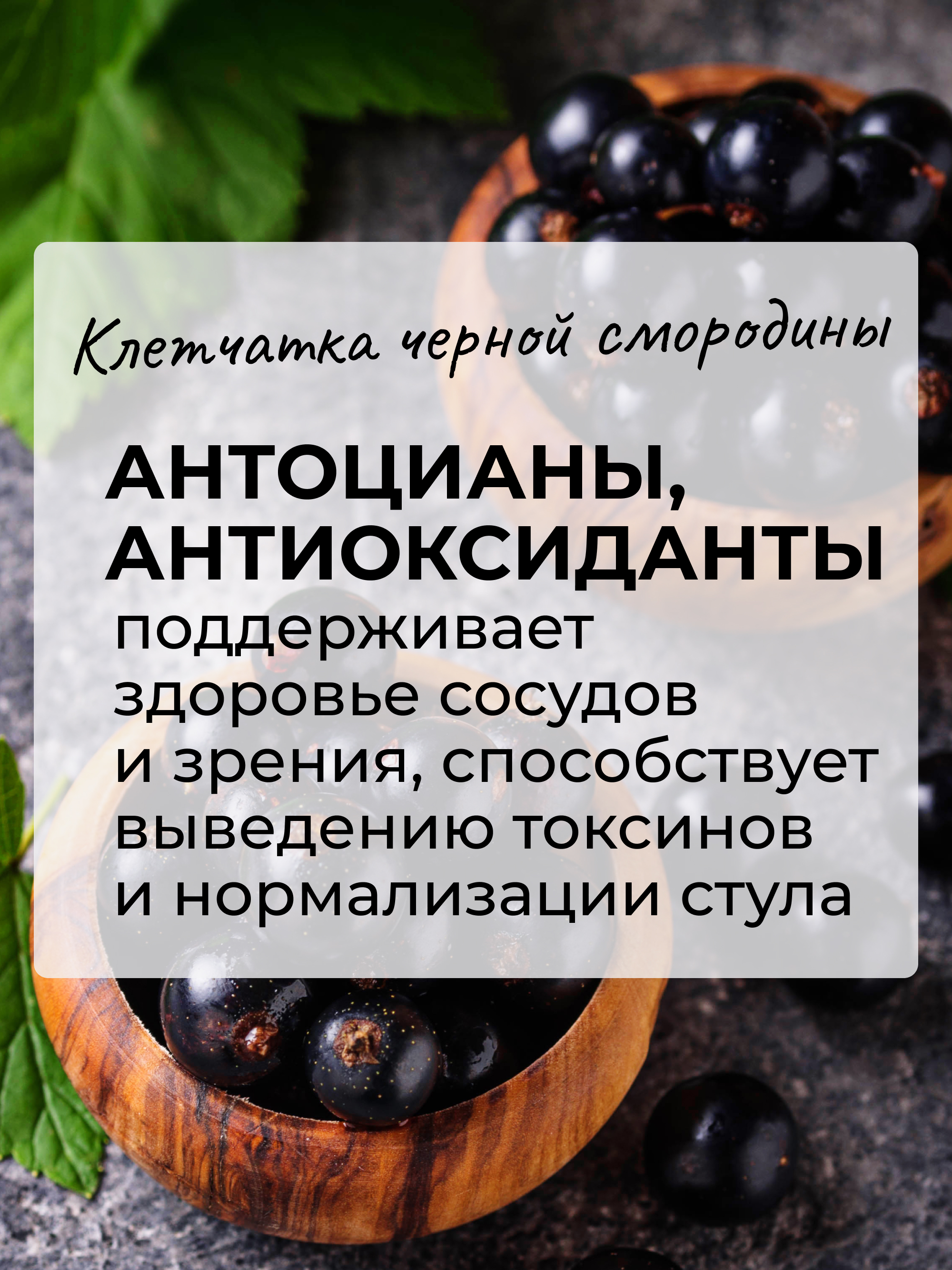 Кисель желудочный с чёрной смородиной, 250 г