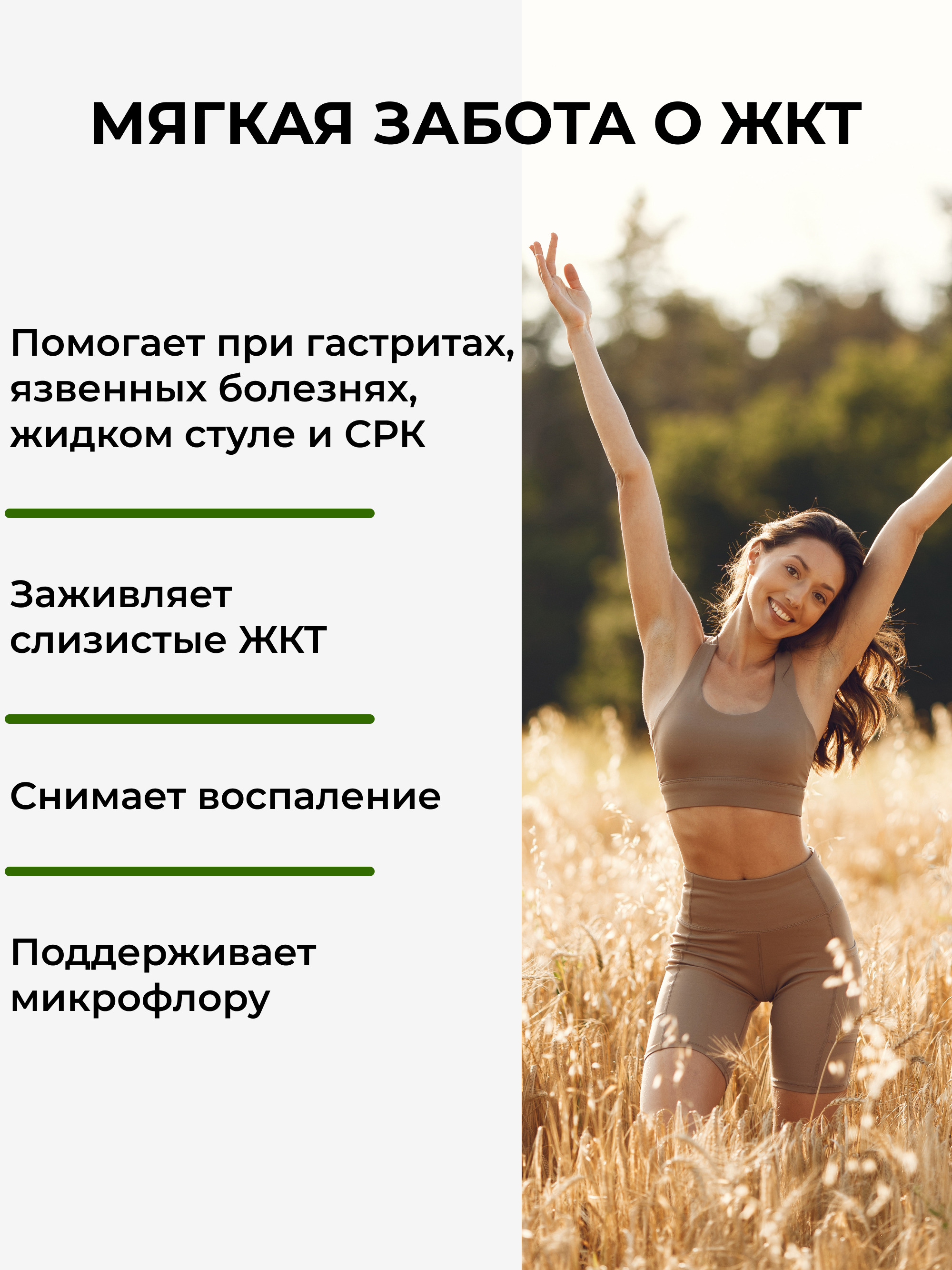 Кисель желудочный с чёрной смородиной, 250 г