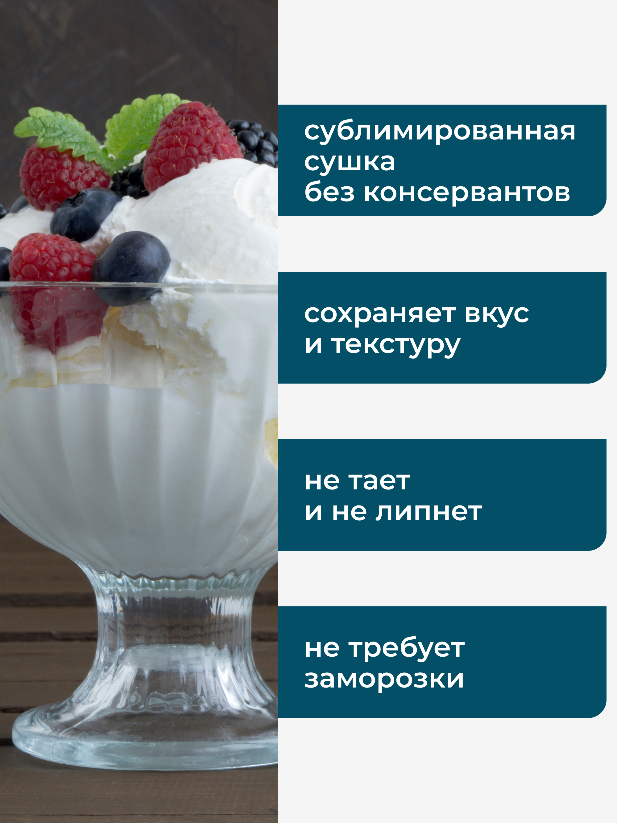 Сублимированное мороженое сливочный пломбир, 30 г