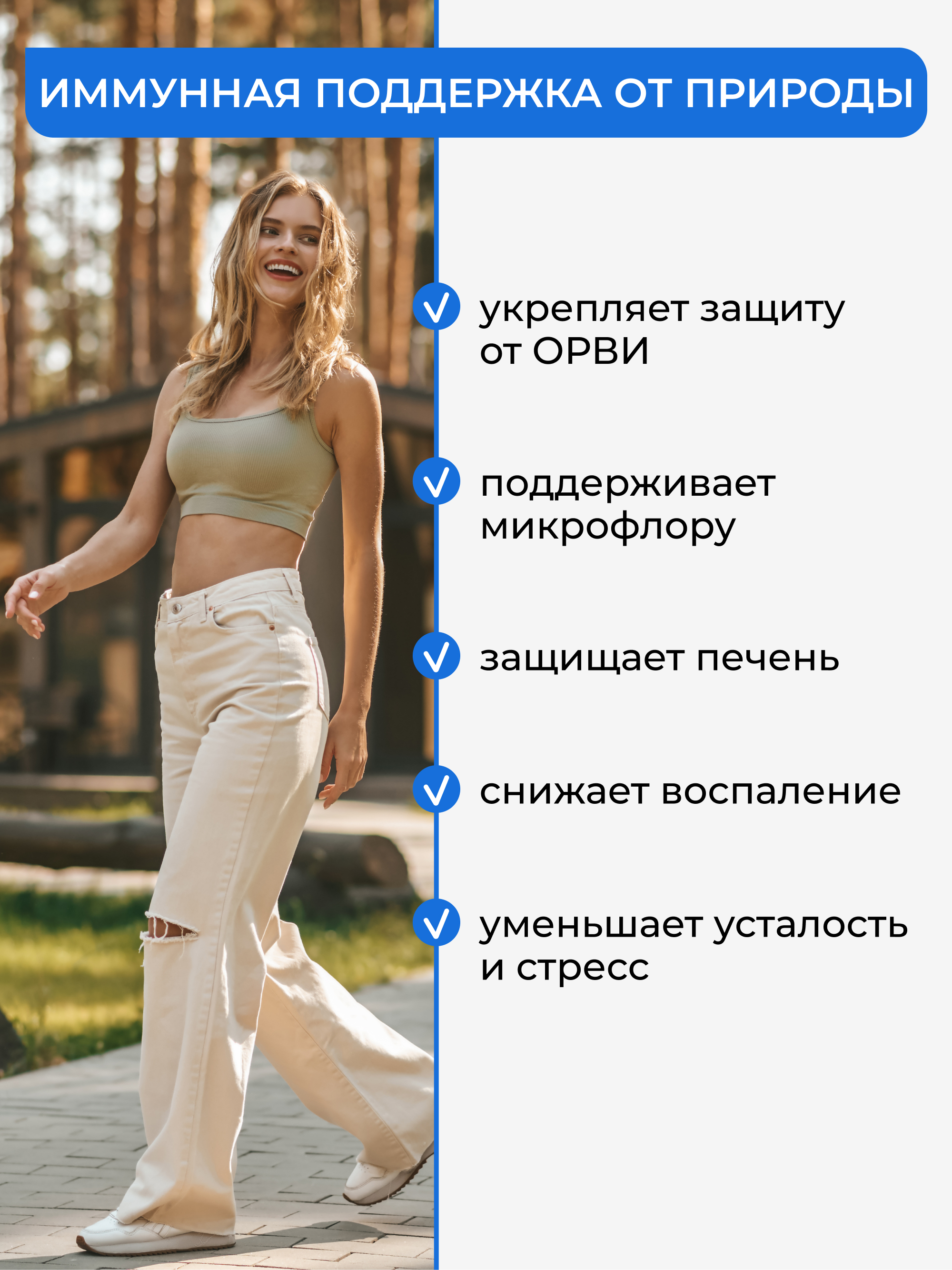 Траметес разноцветный порошок, 100 г