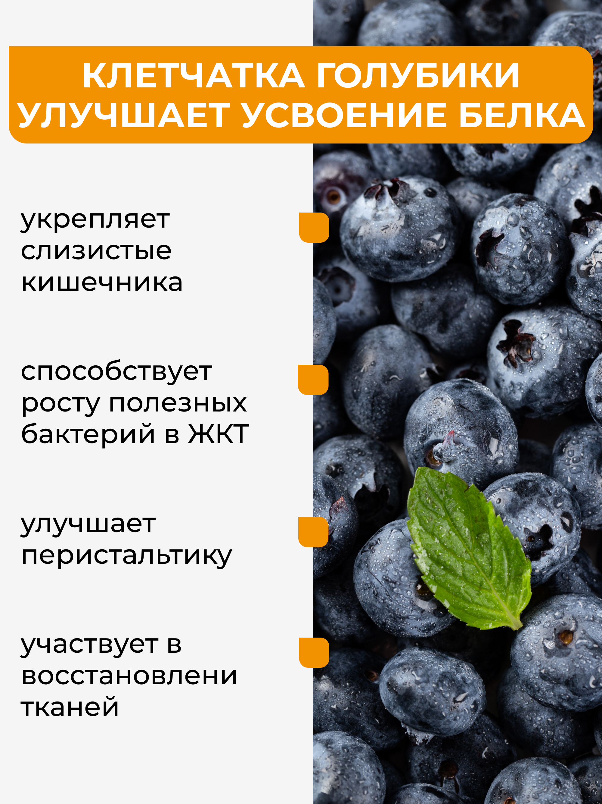 Соевый протеин с голубикой, 250 г