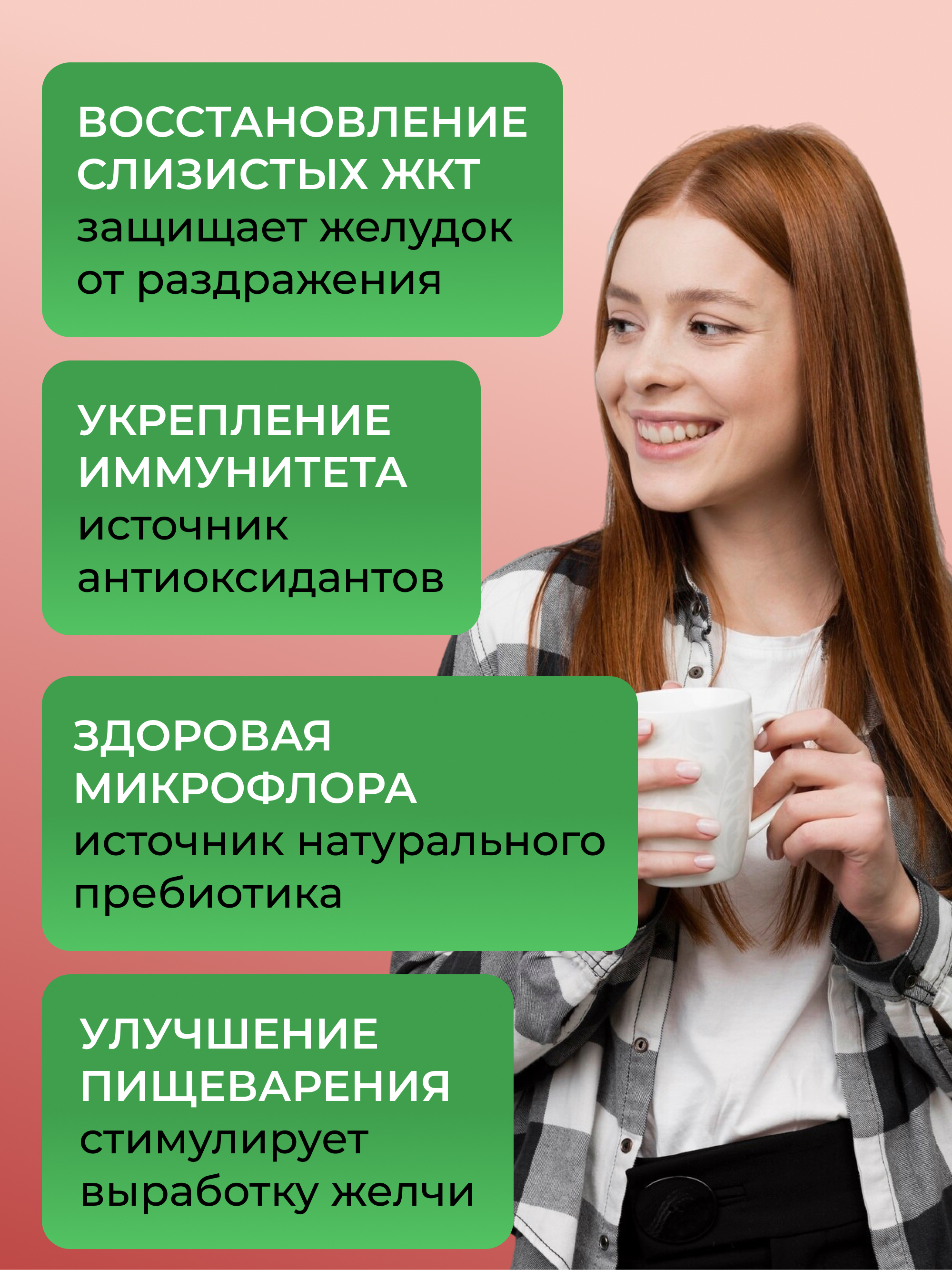 Кисель желудочный с брусникой, 250 г