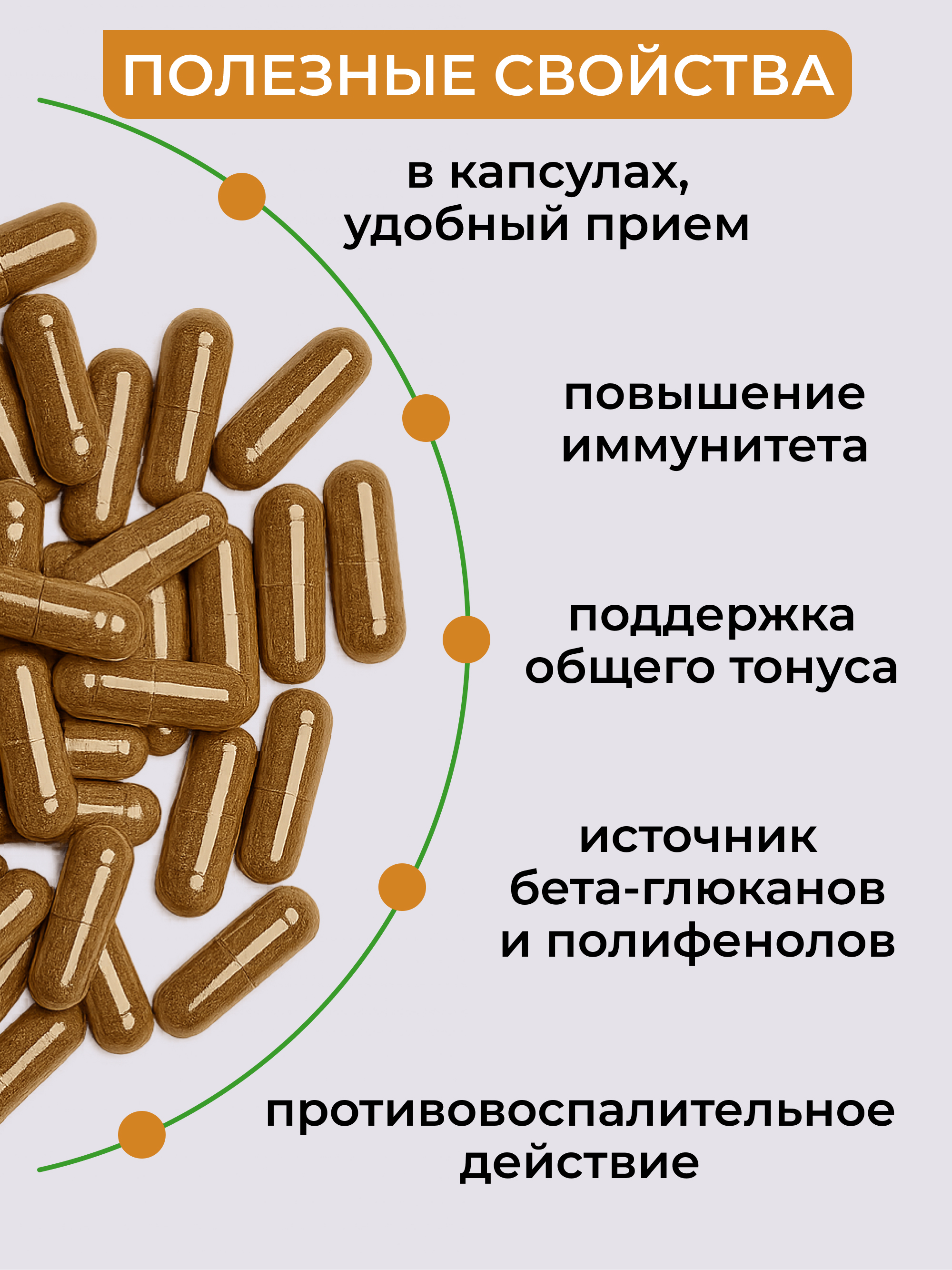 Чага березовая в капсулах, 120 шт