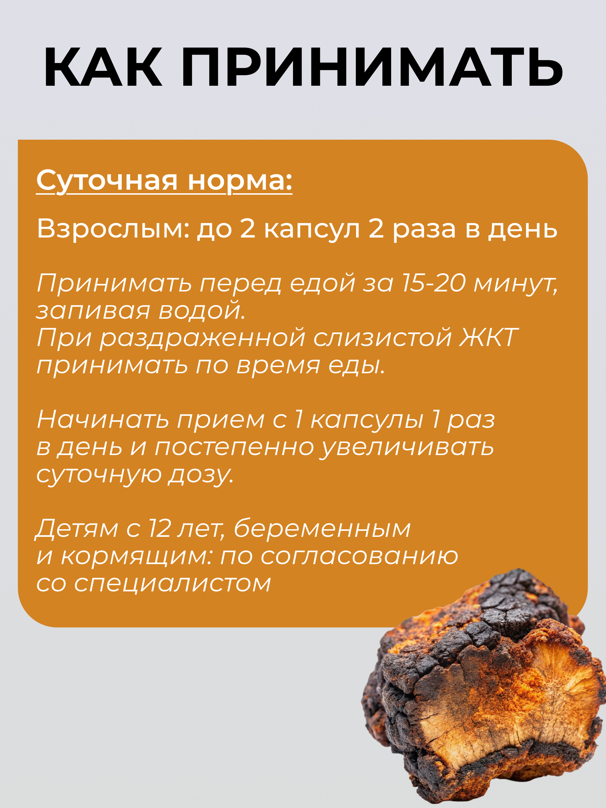 Чага березовая в капсулах, 120 шт